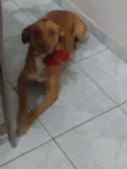 Kira