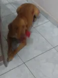Kira