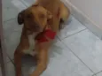 Kira