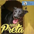 Preta