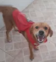Zezinho