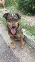 Docinho
