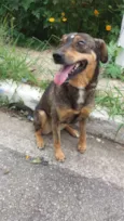 Docinho