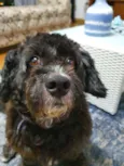 Billy