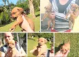 5 bebês