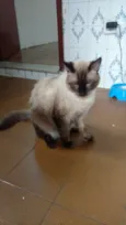Félix