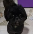 Não sei