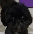 Não sei