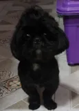 Não sei