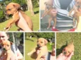 5 bebês