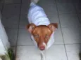 BRANQUINHA
