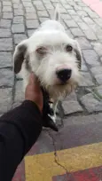 ROMEO 