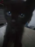 Ainda sem nome