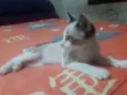 Nala