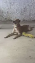 Duke