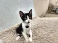 Lili