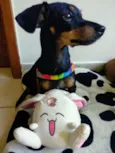 Mirella