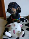 Mirella