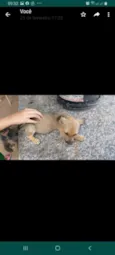 Nao tem