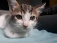 Mia