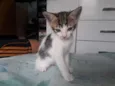 Mia