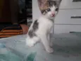 Mia