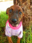 Matilda