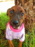 Matilda
