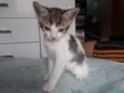 Mia
