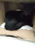 Tico e Teco