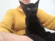 Tico e Teco