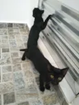 Tico e Teco