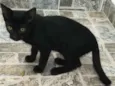 Tico e Teco