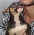 Não tem ainda 