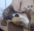 Não tem ainda 