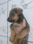 Não tem ainda 
