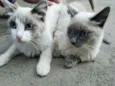 Manu e Mia