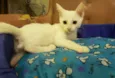 Théo