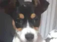 Maya