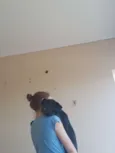 Pretinha