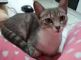 Meg
