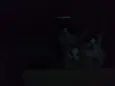 Eles ainda não tem n