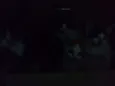 Eles ainda não tem n