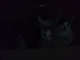 Eles ainda não tem n