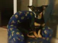 Ritinha