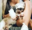 Zig 