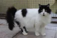 Matilda