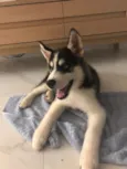 Luke