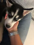 Luke