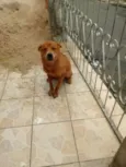 Ted